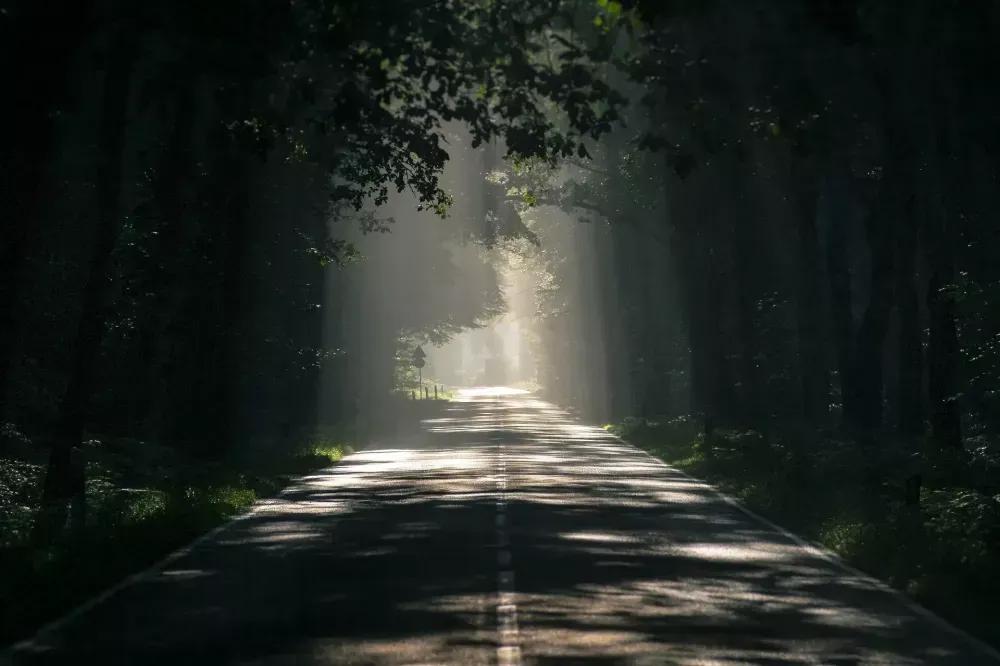 Foret